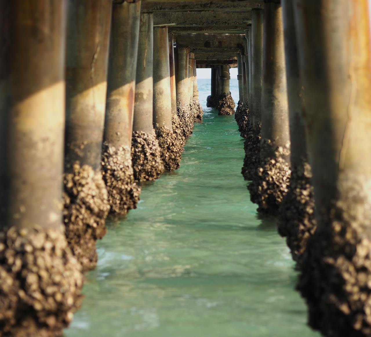 Boardwalk Columns Above Sea Water